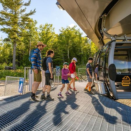 Les Chalets Du Massif De Charlevoix Петит-Ривиер-Сен-Франсоа Екстериор снимка